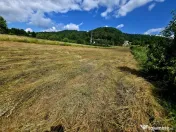 Teren 600mp Viisoara / Strada Primaverii 