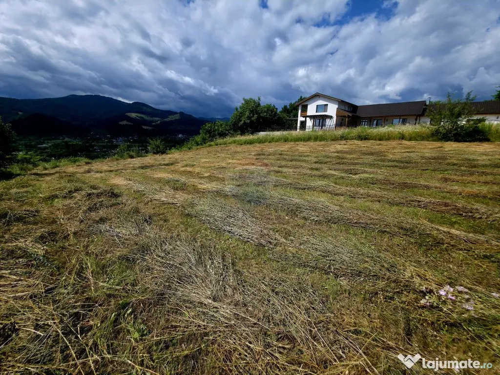 Teren 600mp Viisoara / Strada Primaverii