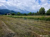 Teren 600mp Viisoara / Strada Primaverii 