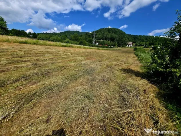 Teren 600mp Viisoara / Strada Primaverii