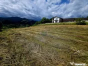 Teren 600mp Viisoara / Strada Primaverii