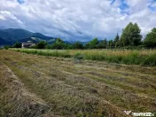 Teren 600mp Viisoara / Strada Primaverii