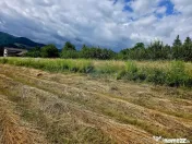 Teren 600mp Viisoara / Strada Primaverii