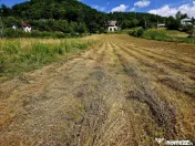 Teren 600mp Viisoara / Strada Primaverii