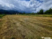 Teren 600mp Viisoara / Strada Primaverii