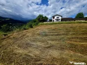 Teren 600mp Viisoara / Strada Primaverii 