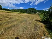 Teren 600mp Viisoara / Strada Primaverii 