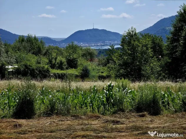Teren 600mp Viisoara / Strada Primaverii