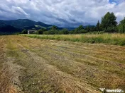 Teren 600mp Viisoara / Strada Primaverii 