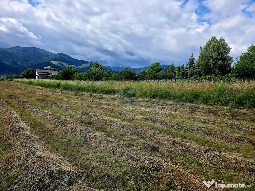 Teren 600mp Viisoara / Strada Primaverii