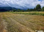 Teren 600mp Viisoara / Strada Primaverii