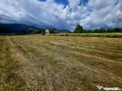 Teren 600mp Viisoara / Strada Primaverii 