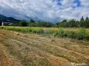 Teren 600mp Viisoara / Strada Primaverii