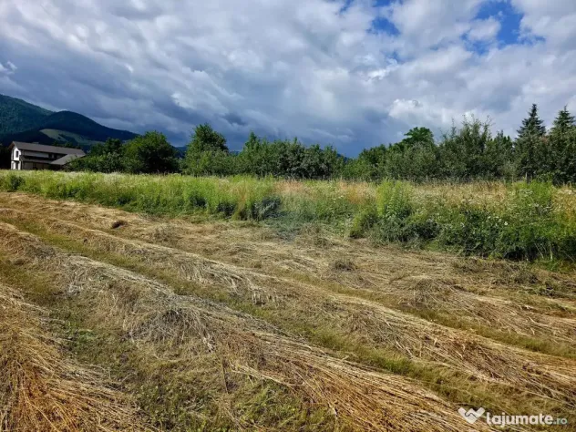Teren 600mp Viisoara / Strada Primaverii