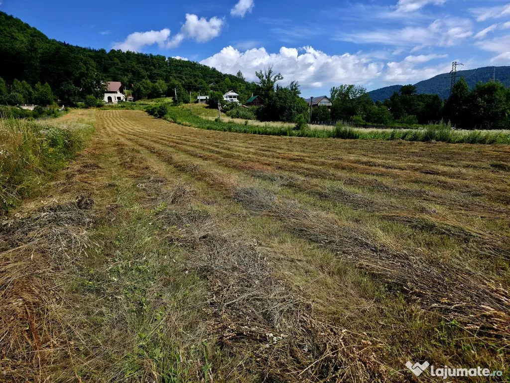 Teren 600mp Viisoara / Strada Primaverii