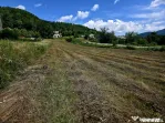 Teren 600mp Viisoara / Strada Primaverii