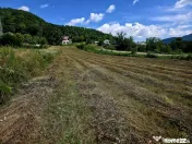 Teren 600mp Viisoara / Strada Primaverii 