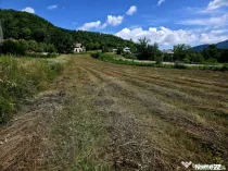 Teren 600mp Viisoara / Strada Primaverii