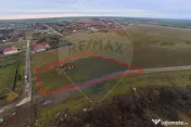 Teren generos cu două fronturi, Frumușeni – plus cons... 