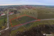 Teren generos cu două fronturi, Frumușeni – plus cons... 