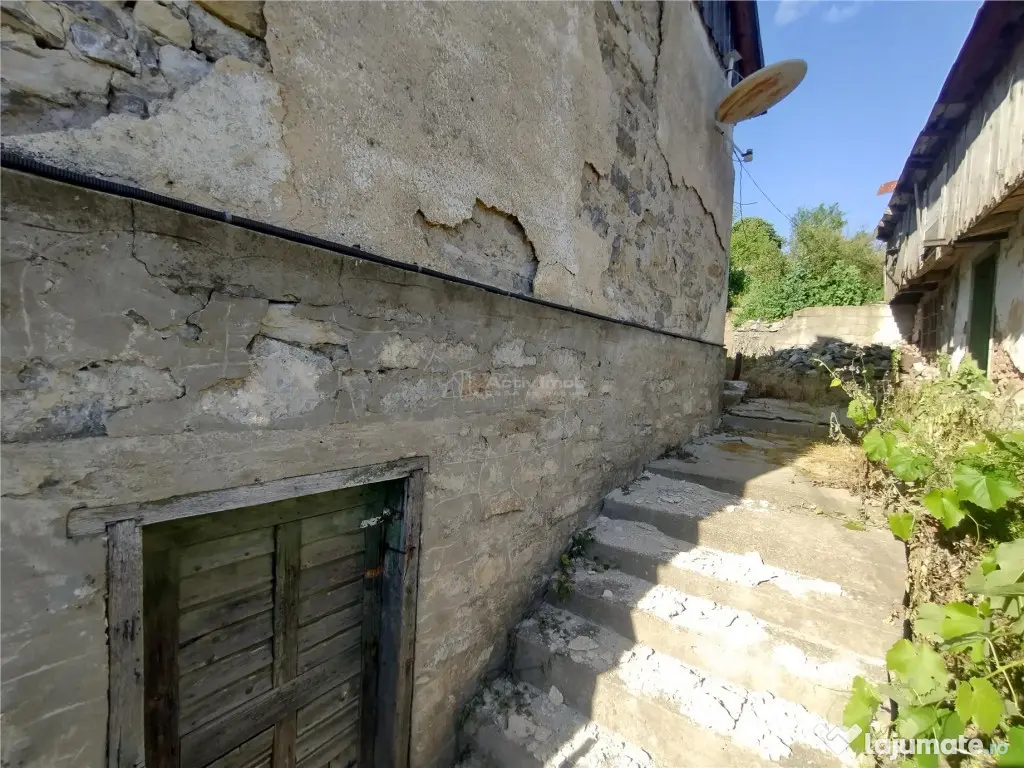 Anina | Casa Individuala | 3 Incaperi Anexe | 575 MP Teren