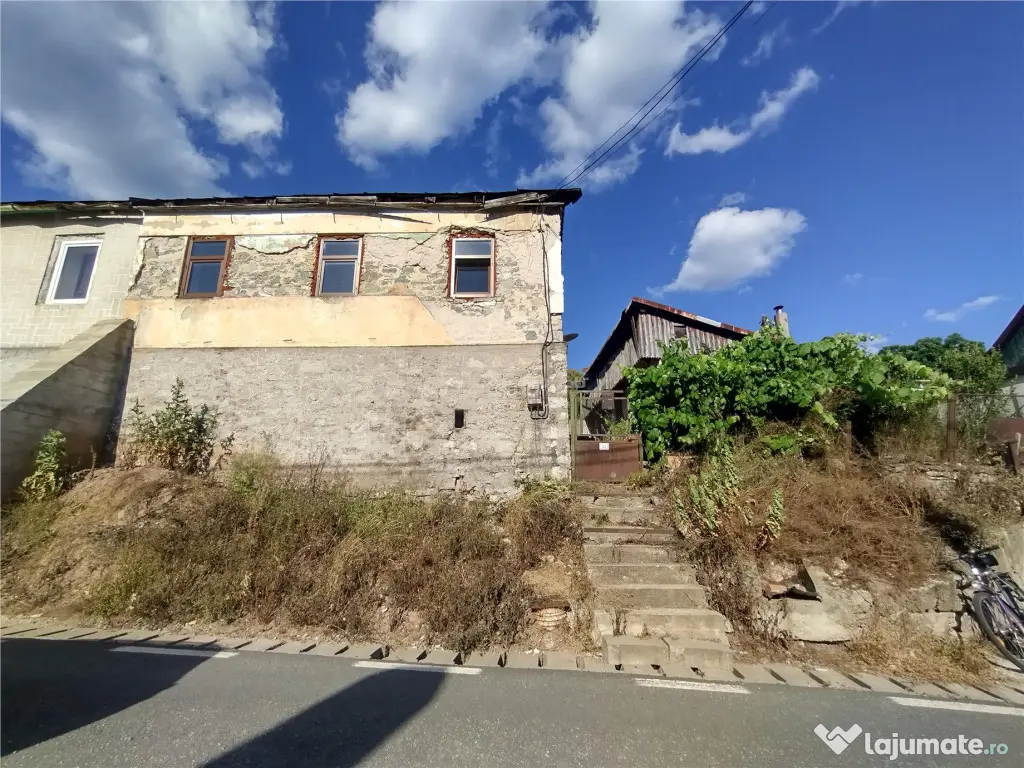 Anina | Casa Individuala | 3 Incaperi Anexe | 575 MP Teren