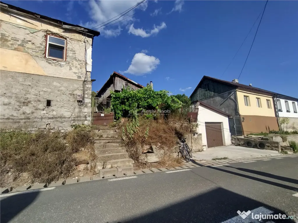 Anina | Casa Individuala | 3 Incaperi Anexe | 575 MP Teren