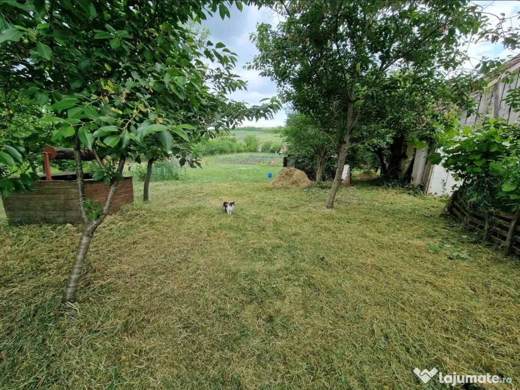 Teren intravilan în sat Feiurdeni, suprafața 1573mp