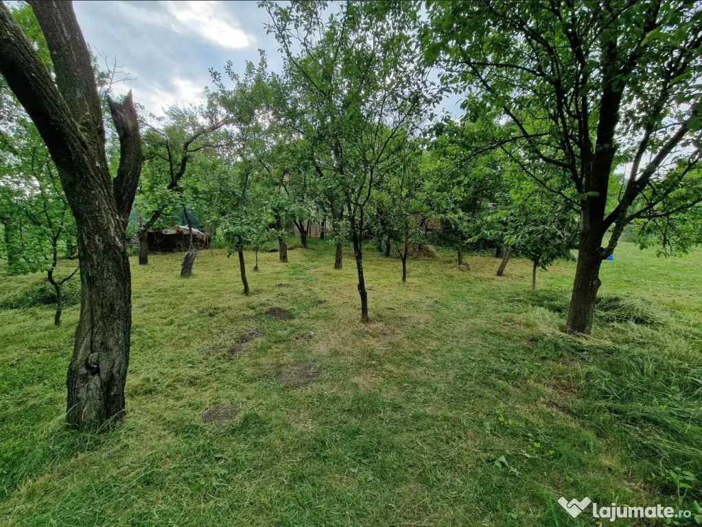Teren intravilan în sat Feiurdeni, suprafața 1573mp
