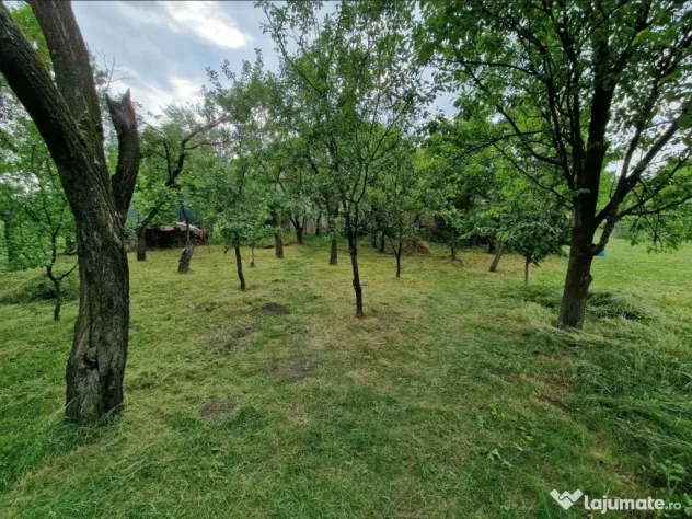 Teren intravilan în sat Feiurdeni, suprafața 1573mp
