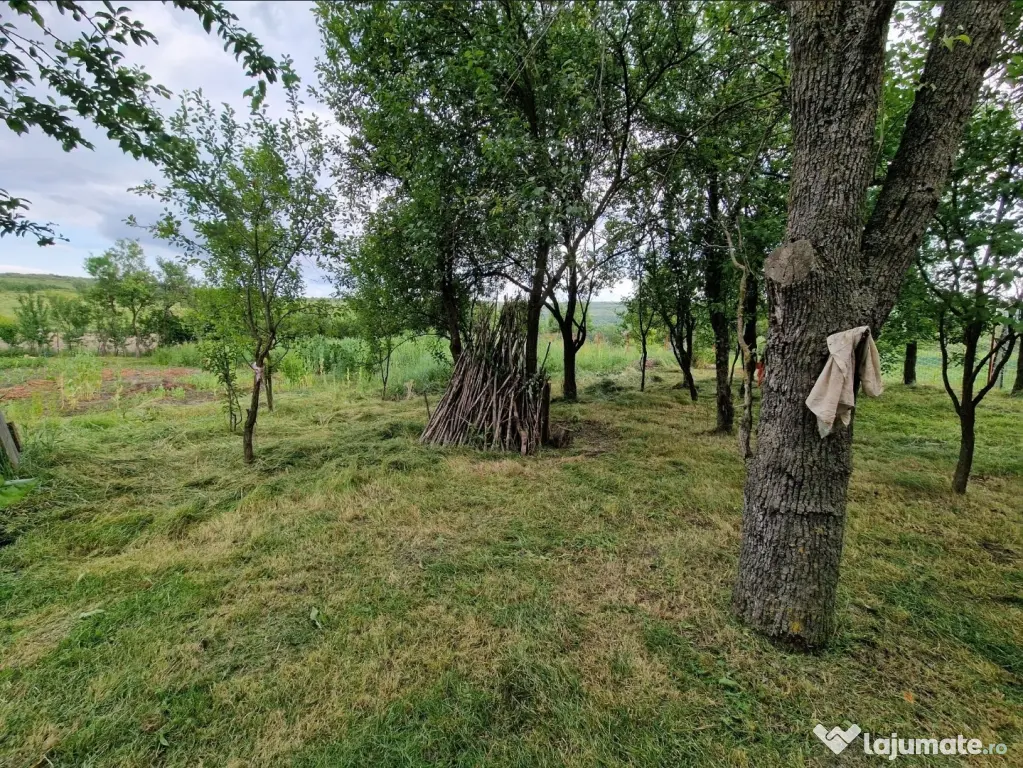 Teren intravilan în sat Feiurdeni, suprafața 1573mp