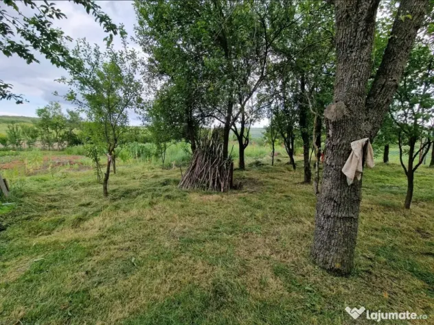 Teren intravilan în sat Feiurdeni, suprafața 1573mp