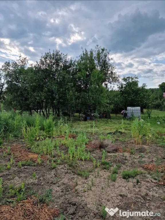 Teren intravilan în sat Feiurdeni, suprafața 1573mp