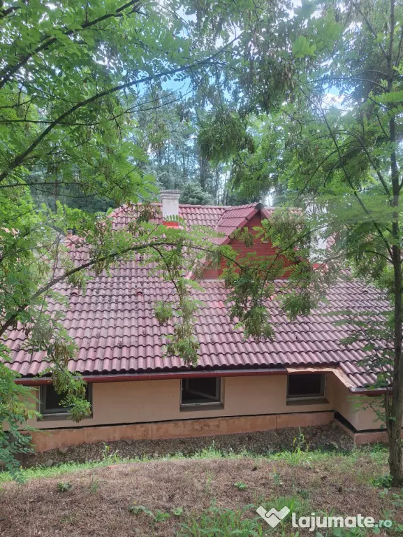 Casa splendida la Buzias