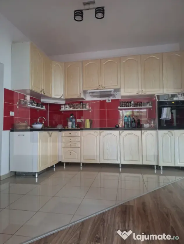 Casa splendida la Buzias