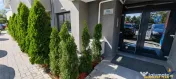 Recomandata si pentru birouri:Garsoniera tip studio renovata 