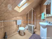 CABANA DE VANZARE | 6 CAMERE | TEREN 1.761 MP | IZLAZ, ARIES 