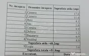 2 camere, et 5/8, 51 mp, bloc 1985- Crangasi, Str 9 Mai