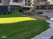 Timpuri noi soho verzisori 