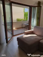 Timpuri noi soho verzisori 