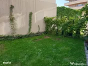 Timpuri noi soho verzisori 