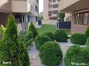 Timpuri noi soho verzisori 