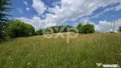 PANORAMA POIANA MĂRULUI | Teren cu potențial de dezvoltare 