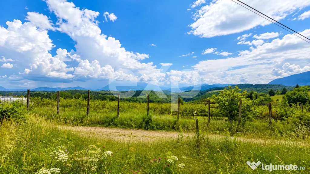 PANORAMA POIANA MĂRULUI | Teren cu potențial de dezvoltare