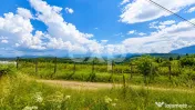 PANORAMA POIANA MĂRULUI | Teren cu potențial de dezvoltare