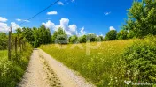 PANORAMA POIANA MĂRULUI | Teren cu potențial de dezvoltare