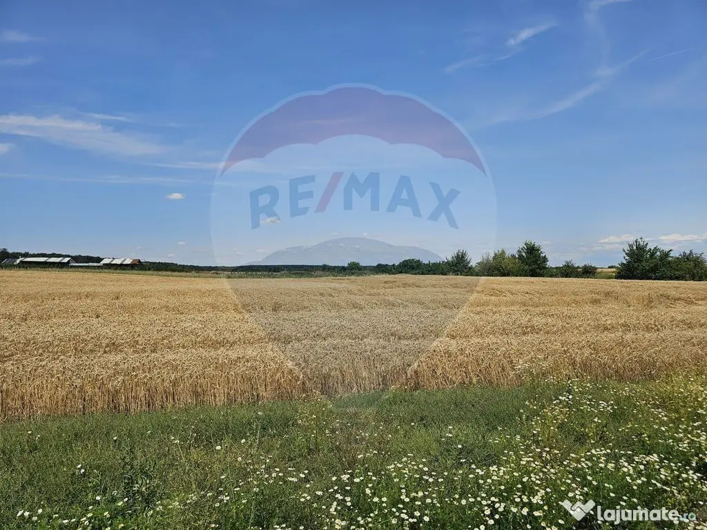 Vanzare Teren Intravilan Buftea, 750mp, str. Ulmului, Pis...