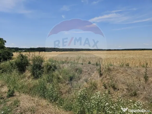 Vanzare Teren Intravilan Buftea, 750mp, str. Ulmului, Pis...