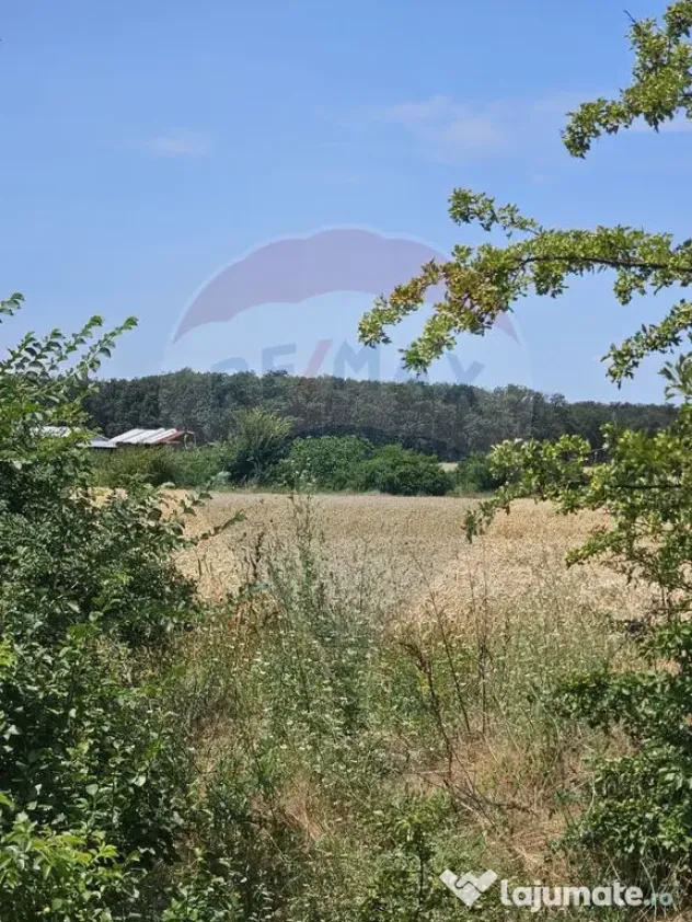Vanzare Teren Intravilan Buftea, 750mp, str. Ulmului, Pis...