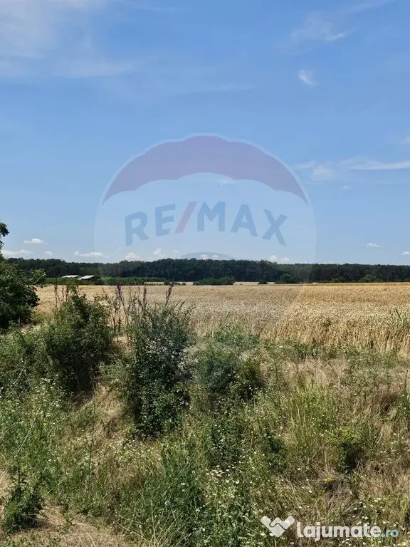 Vanzare Teren Intravilan Buftea, 750mp, str. Ulmului, Pis...